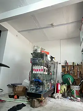 Terra-22cm online show from 02/14/26, 02:36