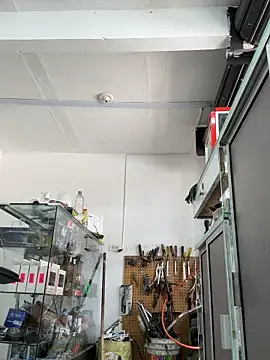 Terra-22cm online show from 04/07/26, 05:02