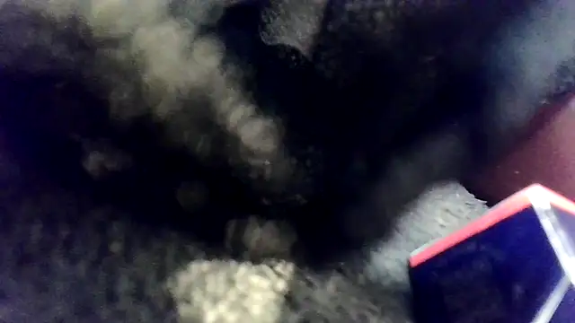 Evieskyyxh online show from 11/26/25, 10:49