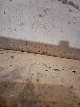 Negodabenga online show from 12/17/25, 11:33