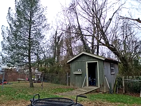 sloppytopkins online show from 11/21/25, 03:33