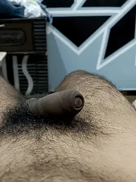 Snapshot of Bull54321 chatting on 09/10/25, 04:23 Bull54321 online show from 09/10/25, 04:23