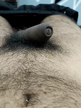 Snapshot of Bull54321 chatting on 09/19/25, 04:47 Bull54321 online show from 09/19/25, 04:47