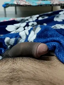 Snapshot of Bull54321 chatting on 12/15/25, 04:33 Bull54321 online show from 12/15/25, 04:33