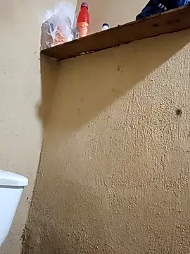 125Delfin90 online show from 04/18/26, 08:51