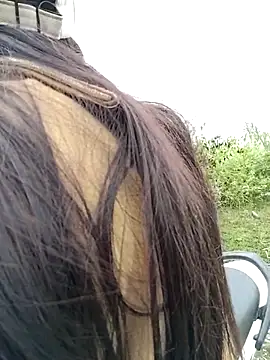 asian 2k online show from 11/23/25, 01:16