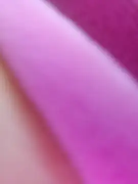 ShineBright88 online show from 10/30/25, 12:06