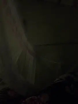 NhuFox online show from 11/19/25, 02:17