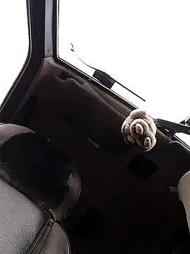 N i k o l a u online show from 11/01/25, 09:22