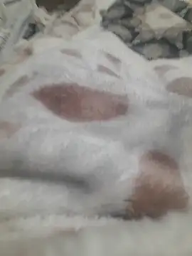 ratoncito 3 online show from 01/16/26, 05:50