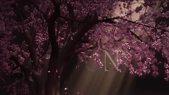 EdenArcadia online show from 05/20/26, 06:52