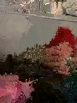 Snapshot of djcarey369159 chatting on 10/27/25, 11:41 djcarey369159 online show from 10/27/25, 11:41