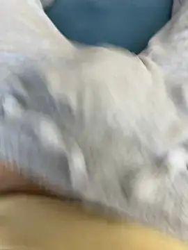 Frankieyyy1 online show from 03/15/26, 07:58