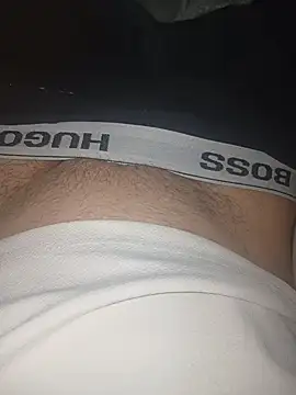 hornyhorny29483 online show from 04/19/26, 01:38