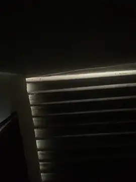 envolvemteX online show from 03/01/26, 10:17