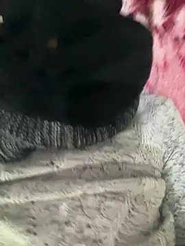 Yasar-Xxxl online show from 02/12/26, 01:44