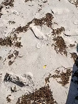 Snapshot of sarahkat86 chatting on 10/04/25, 02:37 sarahkat86 online show from 10/04/25, 02:37