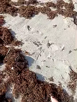 Snapshot of sarahkat86 chatting on 10/09/25, 01:09 sarahkat86 online show from 10/09/25, 01:09