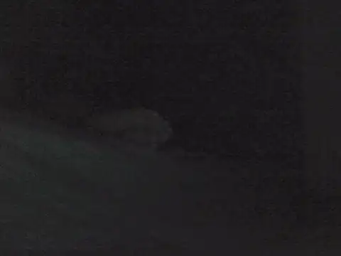 Snapshot of sarahkat86 chatting on 10/30/25, 01:01 sarahkat86 online show from 10/30/25, 01:01