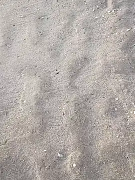 Snapshot of sarahkat86 chatting on 11/05/25, 12:16 sarahkat86 online show from 11/05/25, 12:16