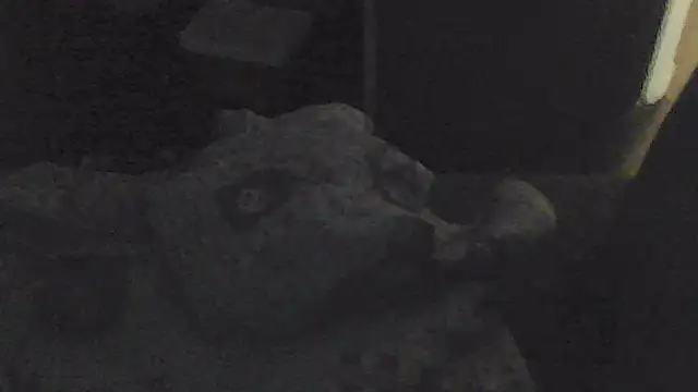 Snapshot of sarahkat86 chatting on 11/13/25, 02:05 sarahkat86 online show from 11/13/25, 02:05