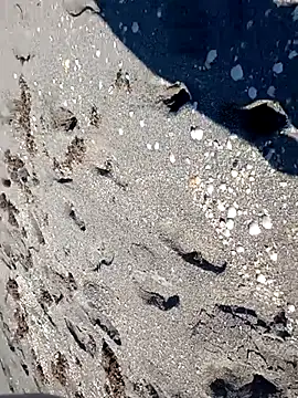 Snapshot of sarahkat86 chatting on 11/14/25, 06:28 sarahkat86 online show from 11/14/25, 06:28