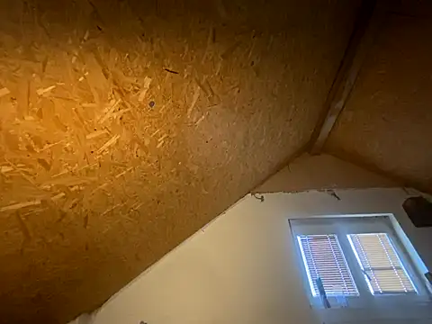 Snapshot of Salon1986 chatting on 11/07/25, 03:01 Salon1986 online show from 11/07/25, 03:01