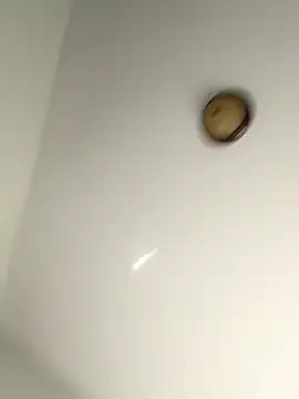 Snapshot of lilcubangoddess chatting on 10/28/25, 02:31 lilcubangoddess online show from 10/28/25, 02:31