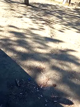 bullut06 online show from 09/23/25, 06:38