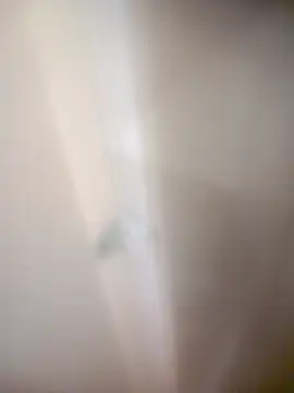 bullut06 online show from 02/20/26, 09:32