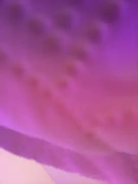 Snapshot of AmberMoss1 chatting on 11/27/25, 08:11 AmberMoss1 online show from 11/27/25, 08:11