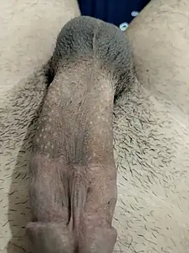 Zepe 12 online show from 11/30/25, 11:31