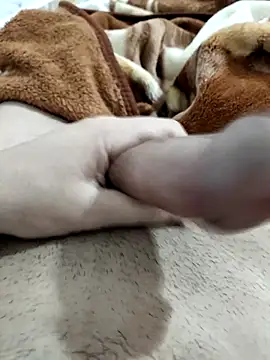 Zepe 12 online show from 02/10/26, 08:40