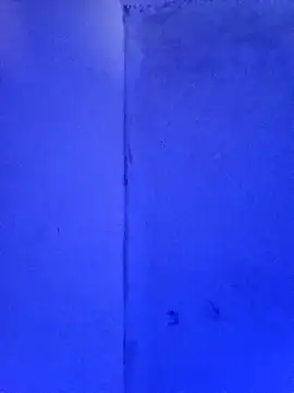 RandalHot online show from 11/23/25, 02:06