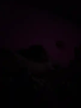 RandalHot online show from 04/09/26, 09:04