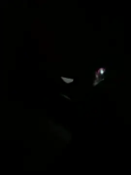Daliz online show from 05/15/26, 06:20