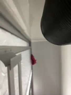 Snapshot of JuanitaMore01 chatting on 10/07/25, 08:28 JuanitaMore01 online show from 10/07/25, 08:28