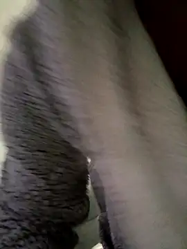 cameron334 online show from 11/01/25, 01:29