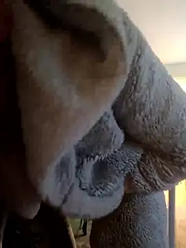 cameron334 online show from 01/12/26, 12:10