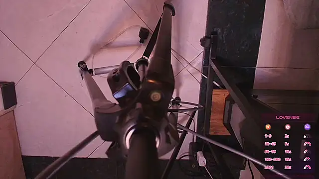 Terraelowen online show from 11/04/25, 11:20