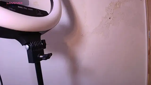 Terraelowen online show from 11/29/25, 11:35