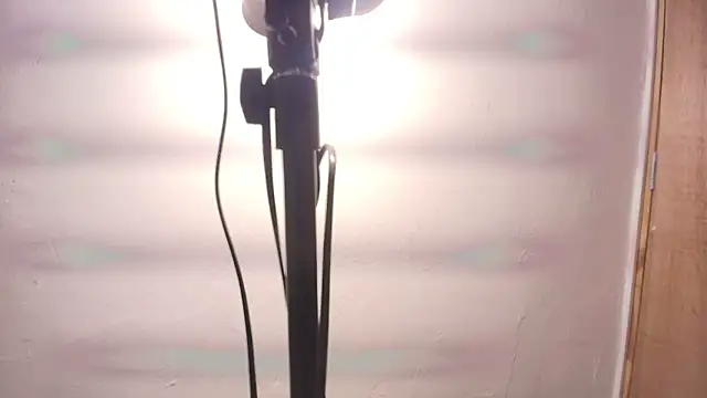 Terraelowen online show from 02/25/26, 11:31