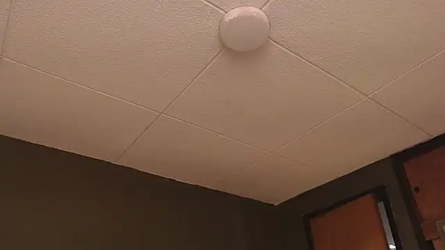 PaulEvens online show from 10/17/25, 01:25