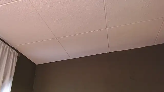 PaulEvens online show from 12/05/25, 01:31