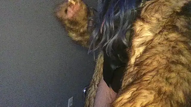 Snapshot of Stevey5894 chatting on 11/30/25, 05:28 Stevey5894 online show from 11/30/25, 05:28