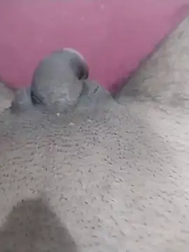 motoboytkbh online show from 04/09/26, 08:03