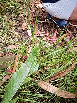 maxvergo online show from 04/15/26, 09:37