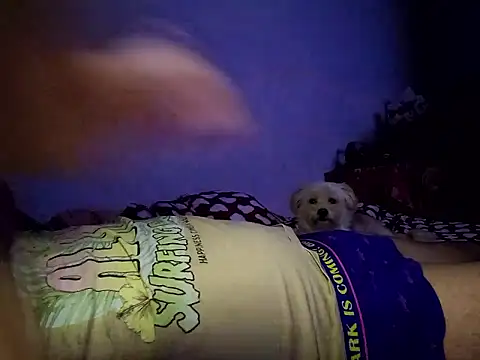 Snapshot of Alexandra23d chatting on 10/02/25, 09:22 Alexandra23d online show from 10/02/25, 09:22