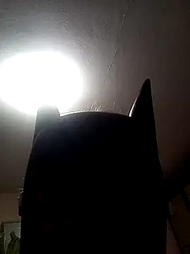 AmandaXXX98 online show from 11/17/25, 02:56