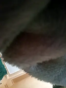 Hamzahk online show from 03/20/26, 07:02